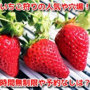 いちご狩り大阪　安い　おすすめ　人気　穴場　食べ放題　予約なし